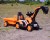 50-orange.jpg