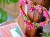 a924b775104b569632239a950bbe5e6f.jpg