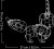 cefc1b60676c3ee52ac1b9a5316dda1a.jpg
