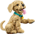 034eac52ea4979c9e92ea91220b65379.png