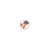 export.jpg