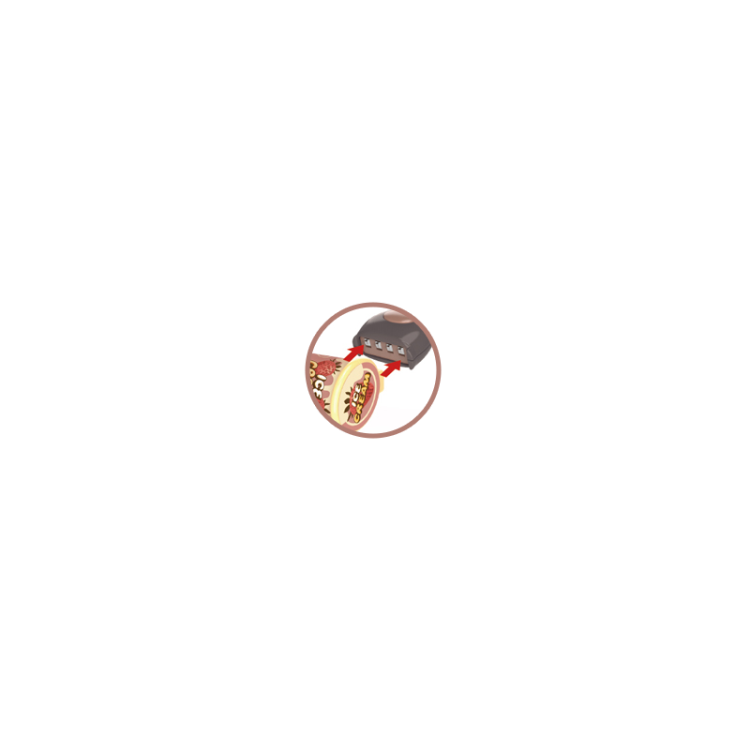 export.jpg