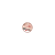 export.jpg