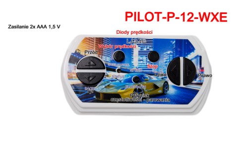 pilot-p-12-wxe.jpg