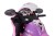 panel-pink-800.jpg