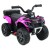 21-pink-800-2.jpg