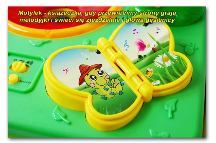 motylek_opis.jpg