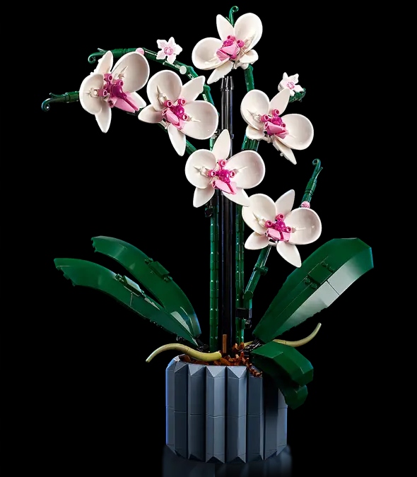 79c3a46444f488874df5d27a6996