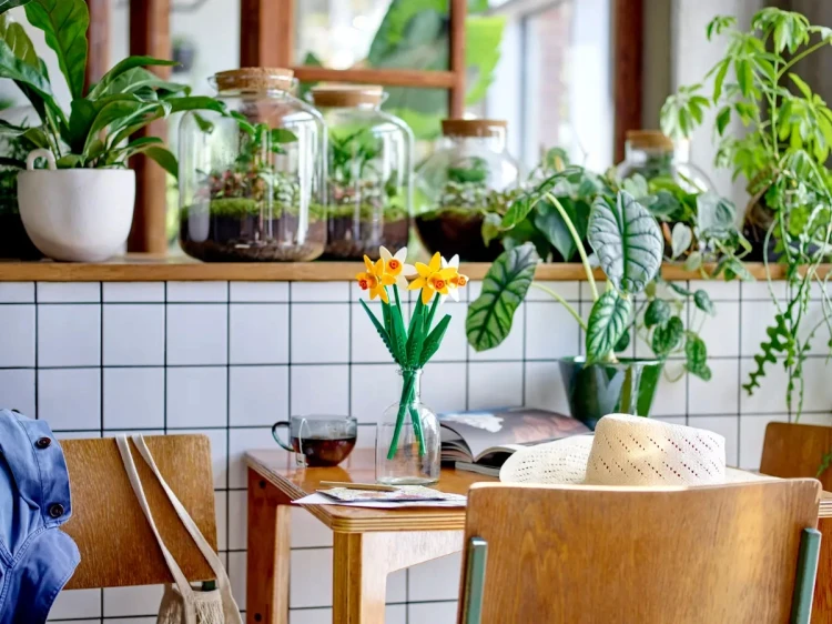 2cd30b554f509a73c6c95112a308